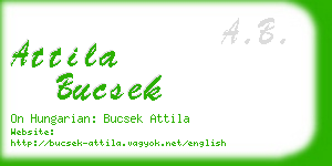 attila bucsek business card